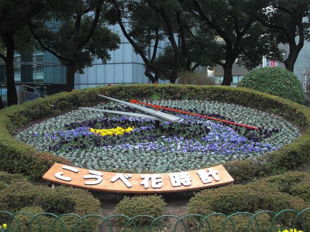 花時計（2013年2月）の写真