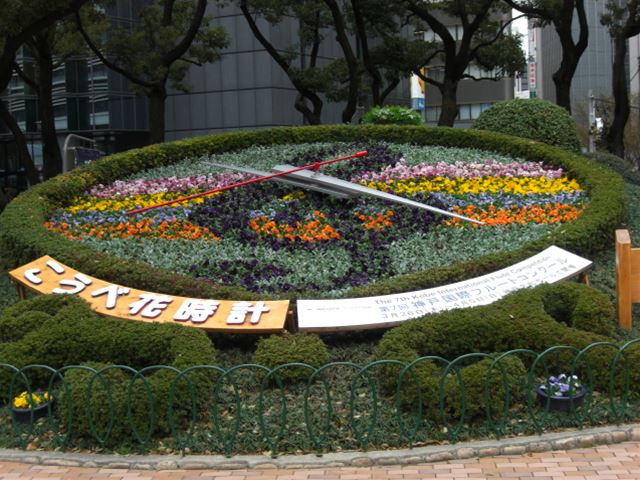 花時計（2009年4月）の写真