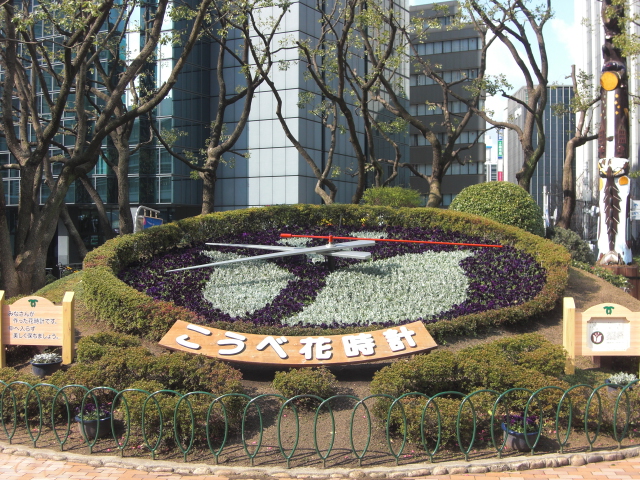 花時計（2014年3月）の写真