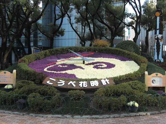 花時計（2015年1月）の写真